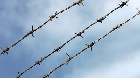Barbed wire Stock Footage 11630346