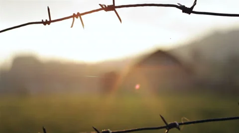 Barbed wire Vídeos de archivo 33373102