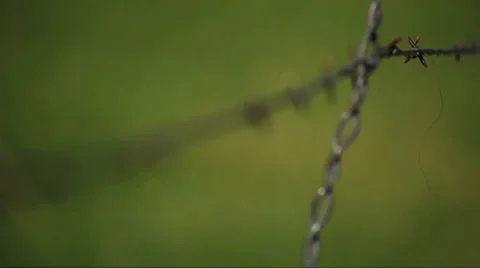 Barbed Wire Stock Footage 34538679