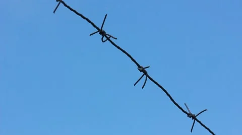 Barbed wire Stock Footage 45564160