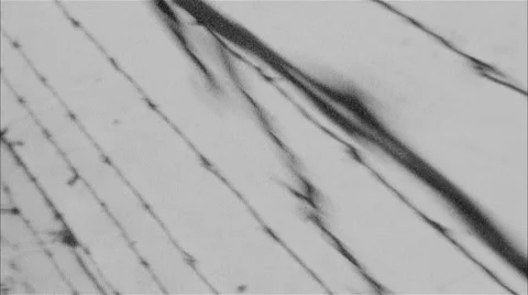 Barbed wire Video stock 47035879