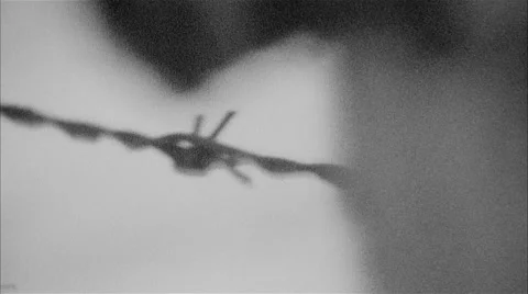 Barbed wire Video stock 47035923