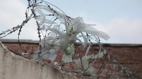 Barbed wire Stock Footage 49071364