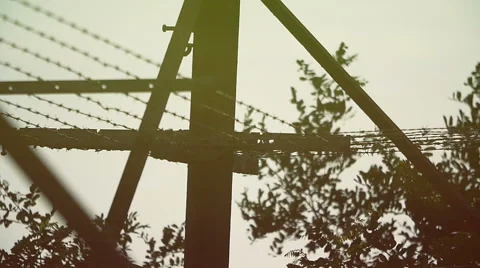 Barbed Wire Stock Footage 54659342