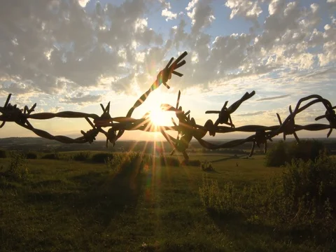 Barbed wire Stock Footage 79223637