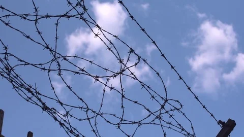 Barbed wire Stock-Footage 79598887