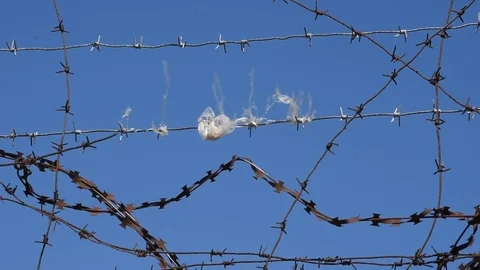 Barbed wire Stock Footage 80592268