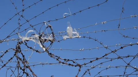 Barbed wire Stock Footage