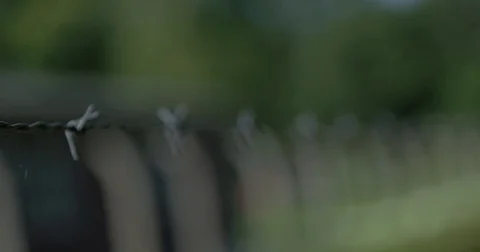 Barbed wire 動画素材 82456475