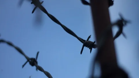 Barbed Wire Stock Footage 122621077