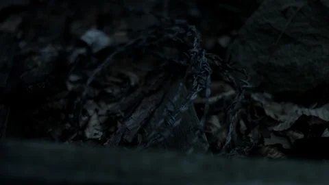 Barbed Wire Stock Footage 122642044