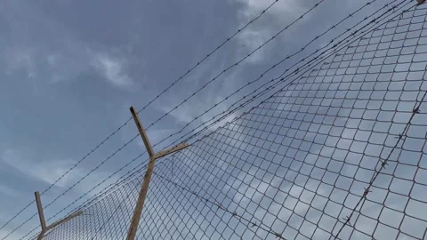 Barbed Wire Stock Footage 169816804