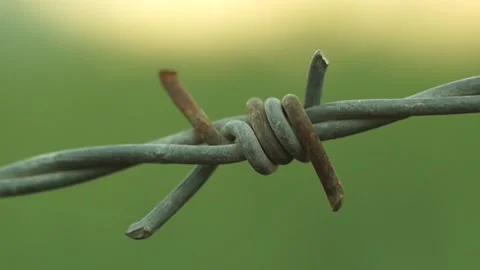 Barbed Wire 動画素材 236226100