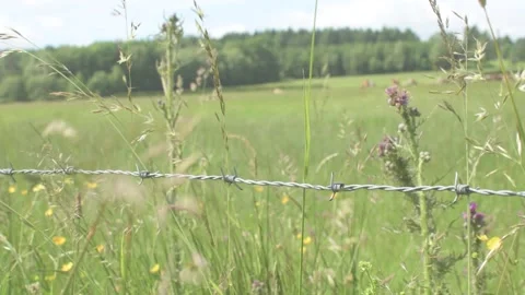 Barbed Wire in Foreground of Vast Field in Afternoon Stock Footage 325265303