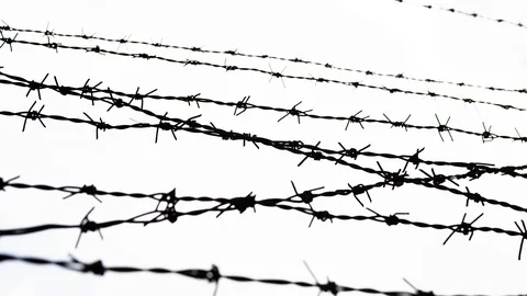 Barbed wire - freedom Stock Footage 106170407