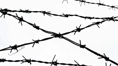 Barbed wire - freedom Stock Footage 106170589