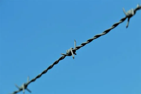 Barbed wire in front of blue sky Foto stock