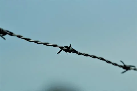 Barbed wire in front of blue sky Stock Photos
