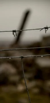 Barbed wire in front of rocks Stock Photos