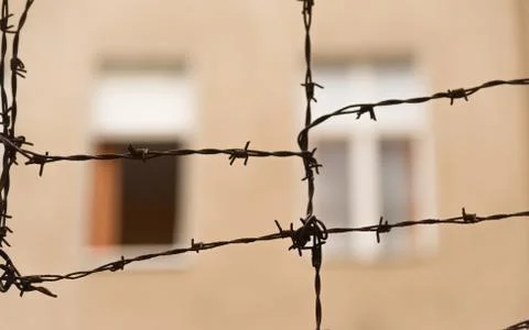 Barbed wire in front of the window Foto stock
