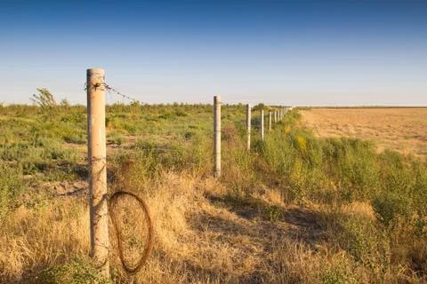 Barbed wire in the garden Stock Photos