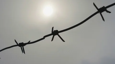Barbed wire on a gray sky background Stock-Footage 87423014