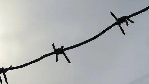 Barbed wire on a gray sky background Stock Footage 87817618