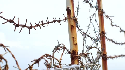 Barbed wire on gray sky background. Illegal immigration concept Stock Footage 232664741