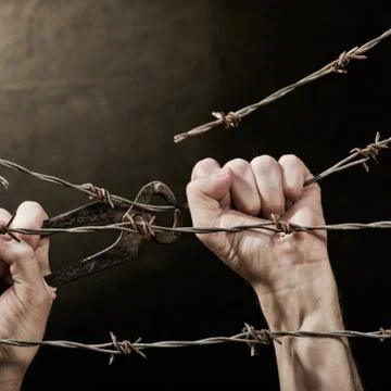 Barbed wire with hands Stock Photos