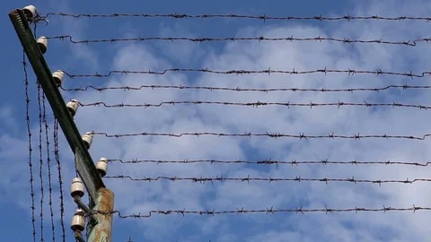 Barbed wire with high voltage on the prison fence Stock Footage 77877359