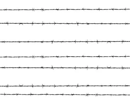 Barbed wire  Stock Illustration