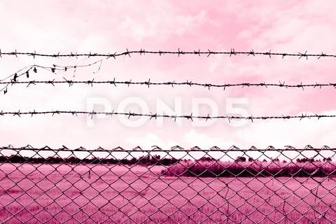 Barbed wire imprison, detention center, incarcerate at countryside Stock Photos