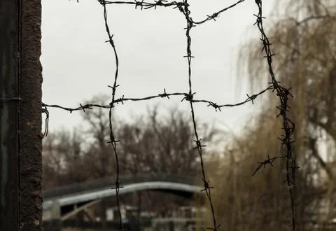 Barbed wire. industrial background security territory, part of the fence mesh Stock Photos