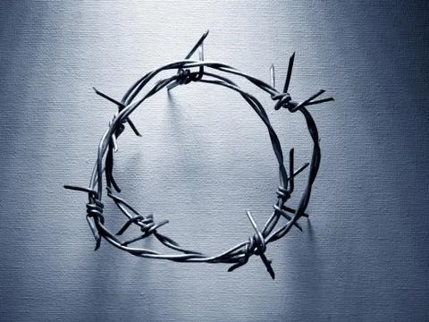 Barbed wire iron Stock Photos