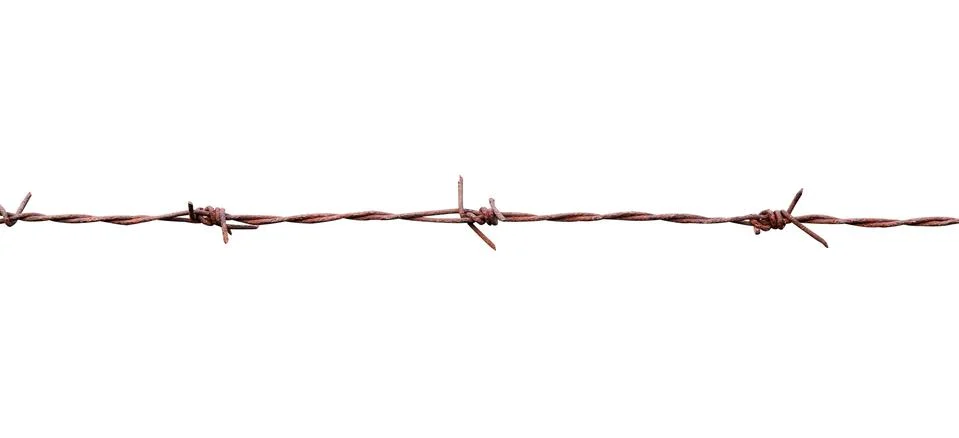 Barbed wire isolate on white background Stock Photos