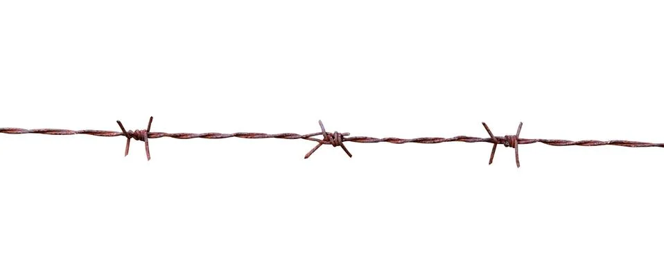 Barbed wire isolate on white background Stock Photos