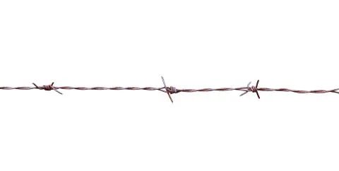 Barbed wire isolate on white background Stock Photos