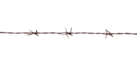 Barbed wire isolate on white background Stock Photos