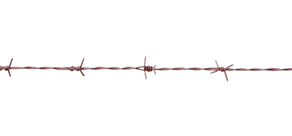 Barbed wire isolate on white background Stock Photos