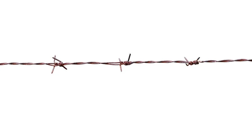 Barbed wire isolate on white background Stock Photos