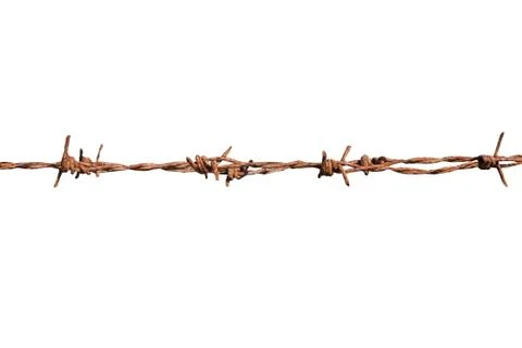 Barbed wire isolate on white background Stock Photos