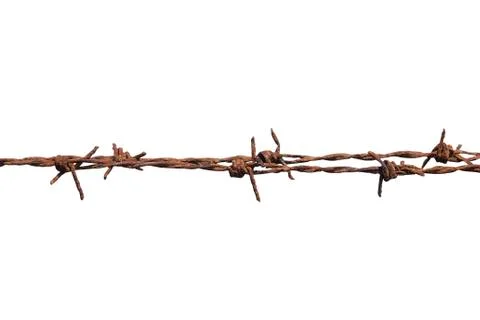 Barbed wire isolate on white background Stock Photos