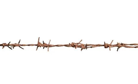 Barbed wire isolate on white background Stock Photos