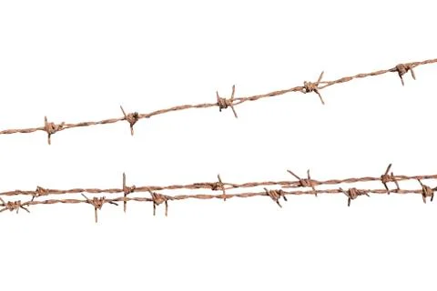 Barbed wire isolate on white background Stock Photos