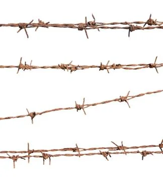 Barbed wire isolate on white background Stockfoto's