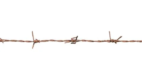 Barbed wire isolate on white background Stock-Fotos
