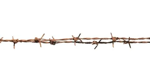 Barbed wire isolate on white background Foto stock