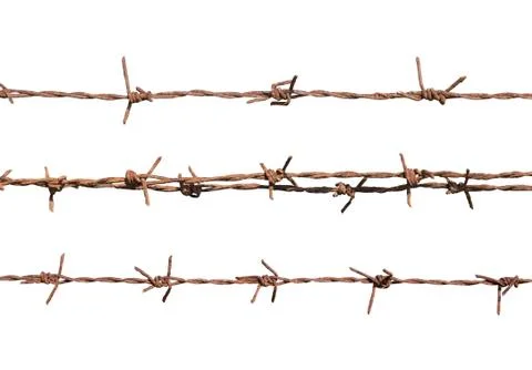 Barbed wire isolate on white background Stock Photos