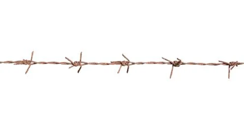 Barbed wire isolate on white background Stock Photos