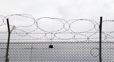 Barbed wire isolated on white background Stock Photos